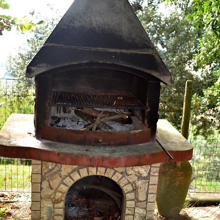 Agriturismo Podere Biancospino Piscina Privata Chianciano Terme Exteriér fotografie